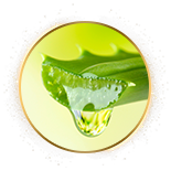 水解膠原蛋白-庫拉索蘆薈葉汁